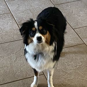 Meet your Posher, Rebecca